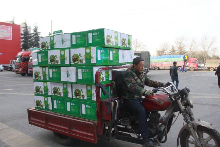 欣绿实业助力西安春节市场蔬菜供应 14000吨政府储备菜陆续投放市场