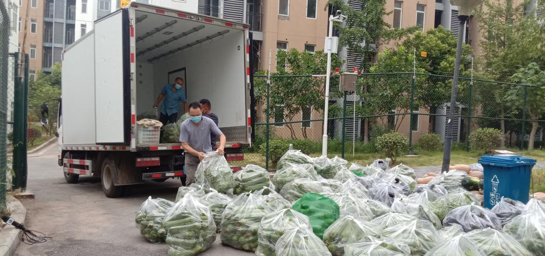 重庆巴南区:村民10多万斤蔬菜销售难 政府多措并举开销路